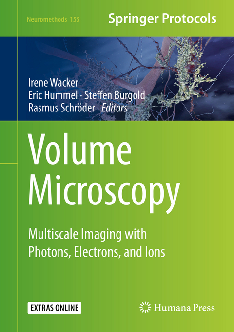Volume Microscopy - 