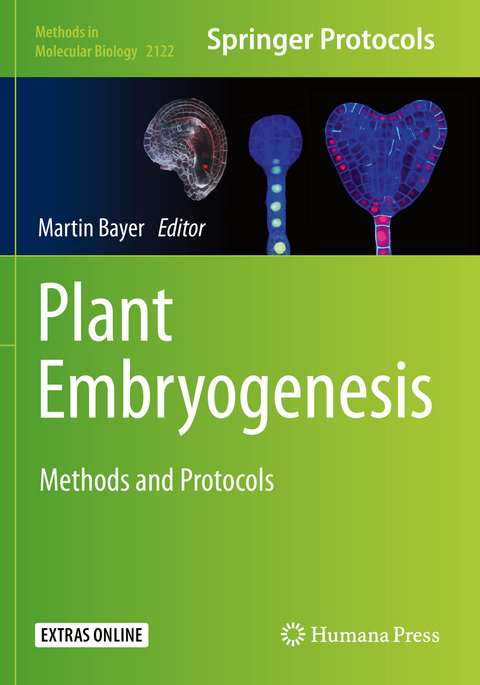 Plant Embryogenesis - 