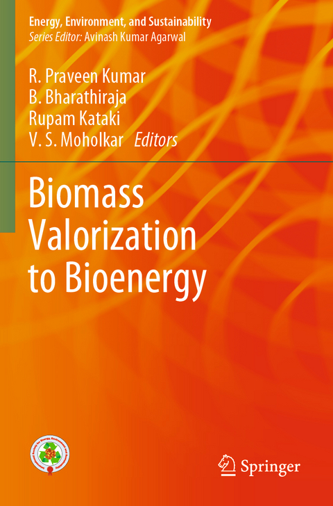 Biomass Valorization to Bioenergy - 