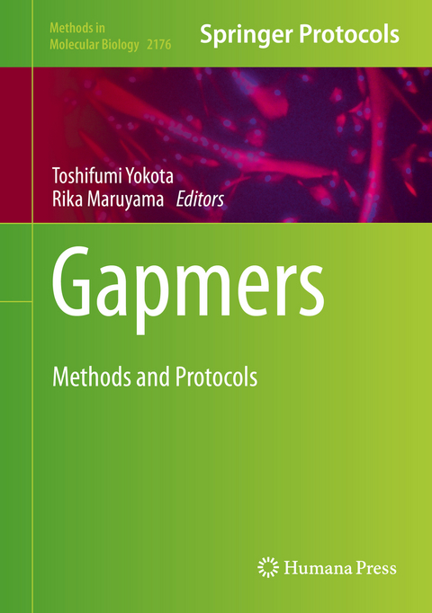 Gapmers - 