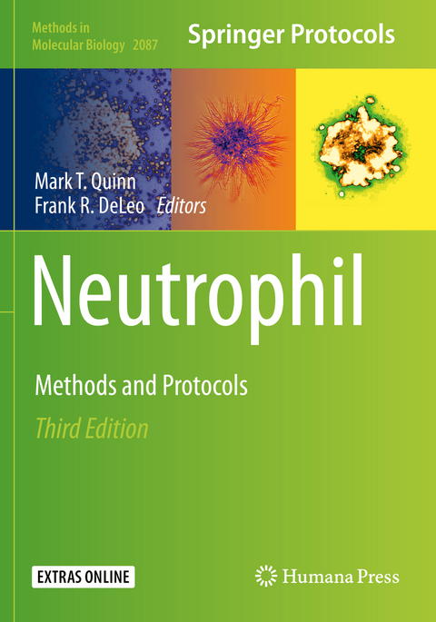 Neutrophil - 