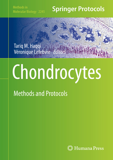 Chondrocytes - 