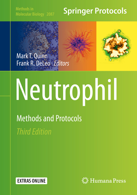 Neutrophil - 