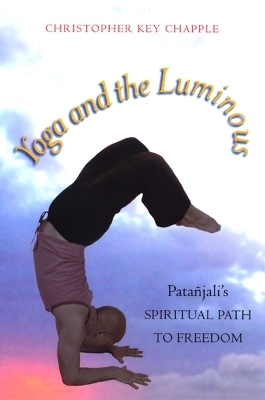 Yoga and the Luminous - Christopher Key Chapple