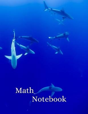 Math Notebook - Jed Nash