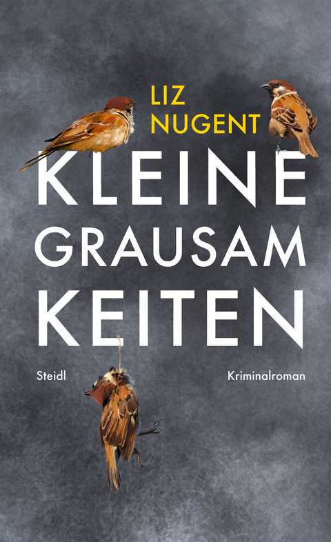 Kleine Grausamkeiten - Liz Nugent