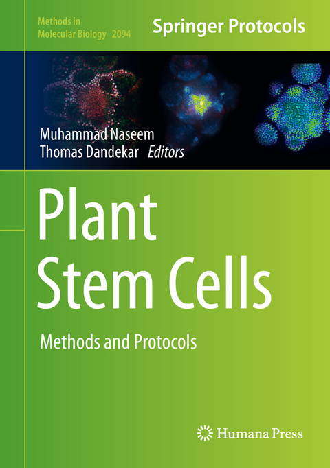 Plant Stem Cells - 