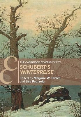 The Cambridge Companion to Schubert's ‘Winterreise' - 