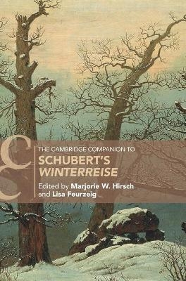 The Cambridge Companion to Schubert's ‘Winterreise' - 