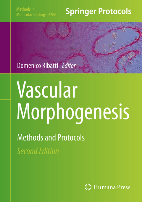 Vascular Morphogenesis - 
