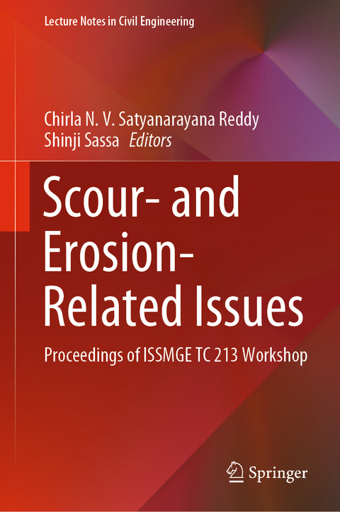 Scour- and Erosion-Related Issues - 