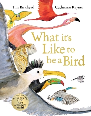 What it's Like to be a Bird - Tim Birkhead