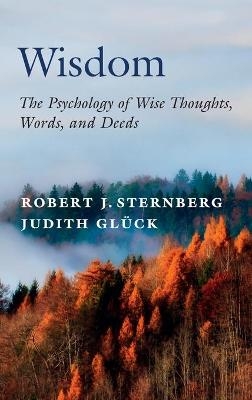 Wisdom - Robert J. Sternberg, Judith Glück