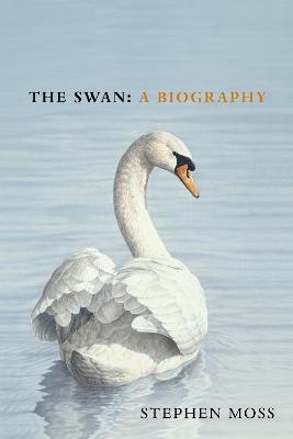 The Swan - Stephen Moss