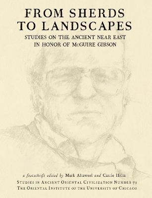 From Sherds to Landscapes - 
