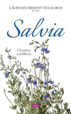 Salvia - 