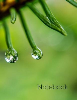 Notebook - Mick Wells