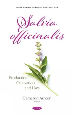 Salvia officinalis - 