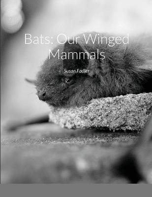 Bats - Susan Fadler