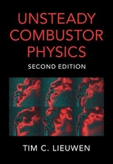 Unsteady Combustor Physics - Lieuwen, Tim C.
