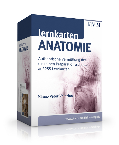 Lernkarten Anatomie - Klaus-Peter Valerius