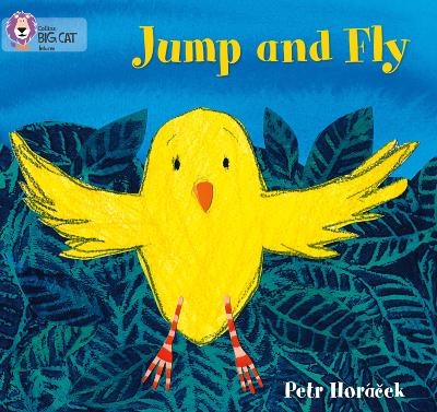 Jump and Fly - Petr Horáček