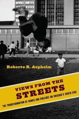 Views from the Streets - Roberto Aspholm