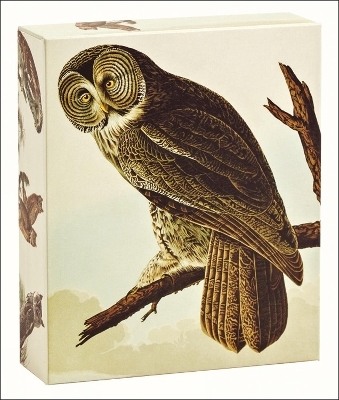 Audubon Owls QuickNotes - John James Audubon