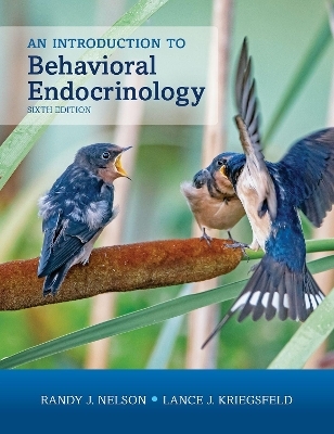 An Introduction to Behavioral Endocrinology, Sixth Edition - Randy J. Nelson, Lance J. Kriegsfeld