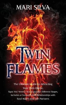Twin Flames - Mari Silva