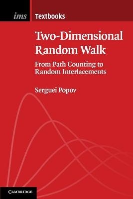 Two-Dimensional Random Walk - Serguei Popov