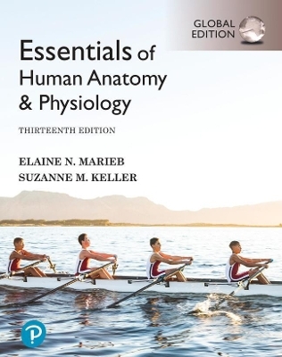 Pearson eText Access Card for Essentials of Human Anatomy & Physiology, Global Edition - Elaine Marieb, Suzanne Keller