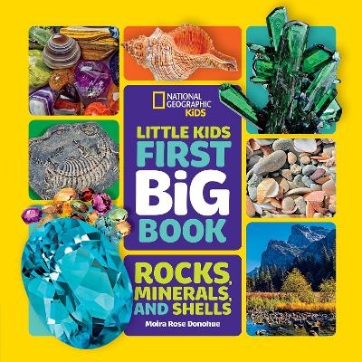 Little Kids First Big Book of Rocks, Minerals and Shells - Moira Rose Donohue,  National Geographic Kids