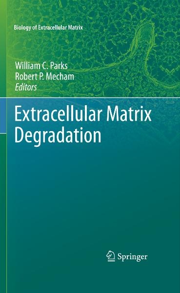 Extracellular Matrix Degradation - 