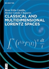 Classical and Multidimensional Lorentz Spaces - René Erlin Castillo, Héctor Camilo Chaparro