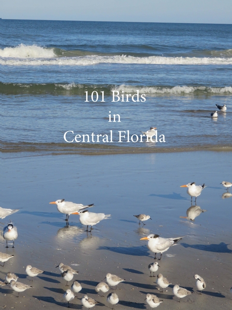 101 Birds in Central Florida - Edith Kohlbach