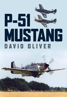 P-51 Mustang - David Oliver