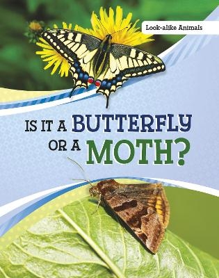 Is It a Butterfly or a Moth? - Susan B. Katz