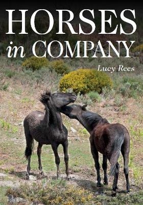 Horses in Company - Lucy Rees