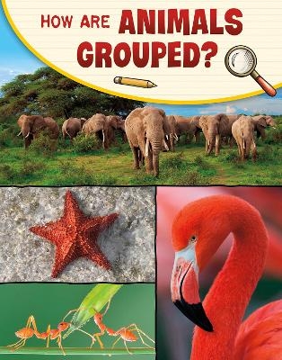 How Are Animals Grouped? - Lisa M. Bolt Simons