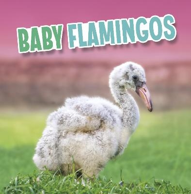 Baby Flamingos - Martha E. H. Rustad