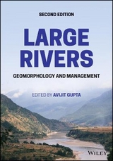 Large Rivers - Gupta, Avijit