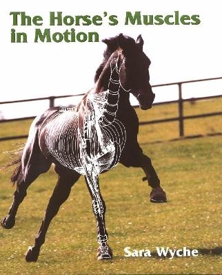 The Horse's Muscles in Motion - Sara Wyche