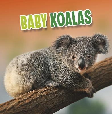 Baby Koalas - Martha E. H. Rustad