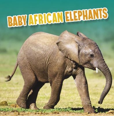 Baby African Elephants - Martha E. H. Rustad