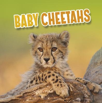 Baby Cheetahs - Martha E. H. Rustad