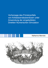 Vorhersage des Primärzerfalls von Airblastzerstäuberdüsen unter Anwendung der eingebetteten Direkten Numerischen Simulation - Katharina Warncke