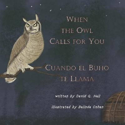 When the Owl Calls for You - David Q Hall