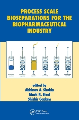 Process Scale Bioseparations for the Biopharmaceutical Industry - 
