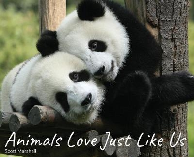 Animals Love Just Like Us - Scott Marshall